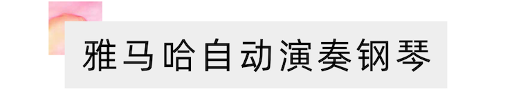 活动报道 | 远程艺术教育大师课活动——大润发贵宾厅特邀艺术家张奕明大师课